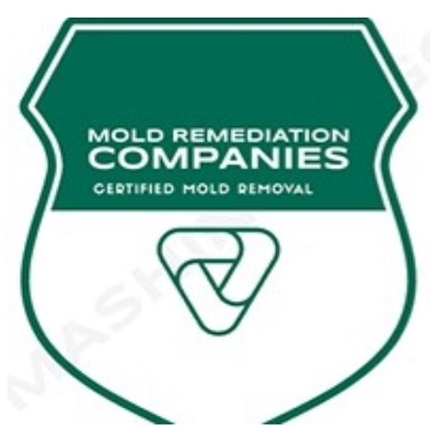 Allen Mold Remediation Pros
