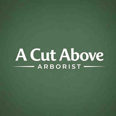 A Cut Above Arborist