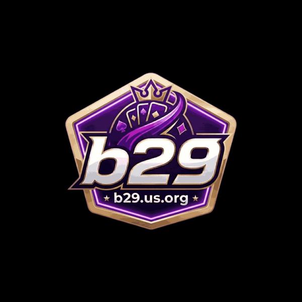 B29 us org