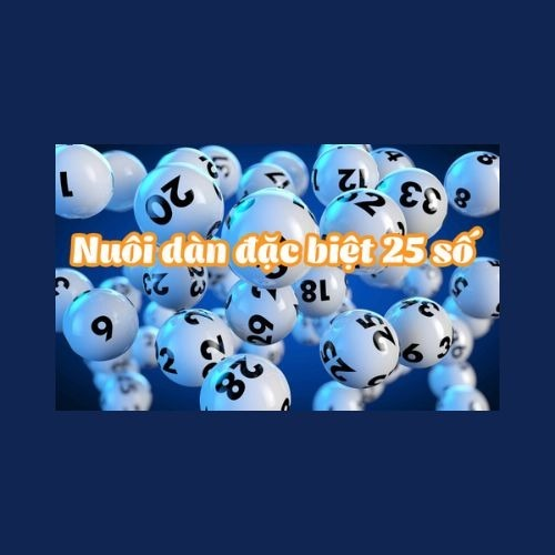 nuoidande25 sok