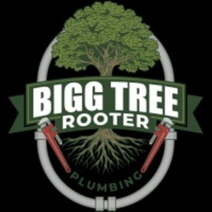 Bigg Tree Rooter & Plumbing