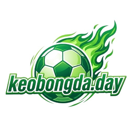 Lịch Thi Đấu Bóng Đá