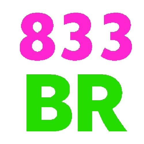 833brorg