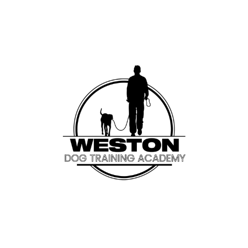 Weston Dog Training Academy