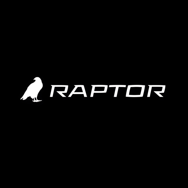 St. George SEO Raptor