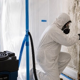 Gainesville Mold Remediation