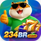 234br org
