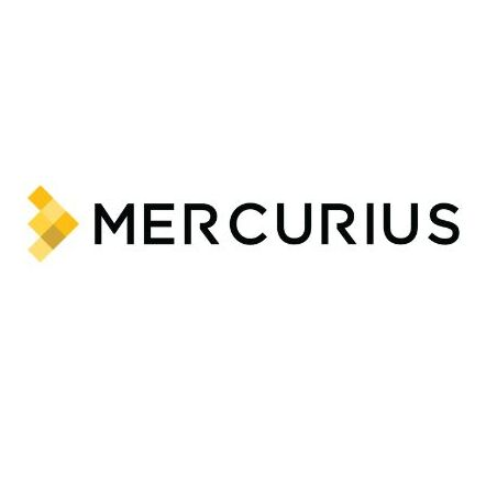 Mercurius & Associates LLP