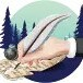 Pine Book Writing