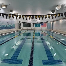 Dolphin Swimming Flagship Pool