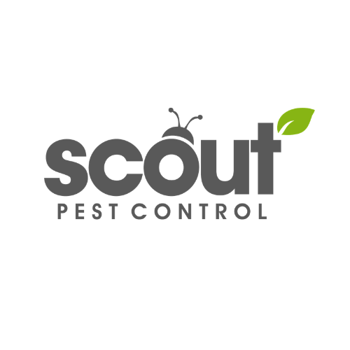 Scout Pest Control