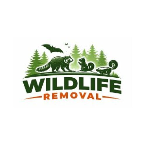 DFW Wildlife Control