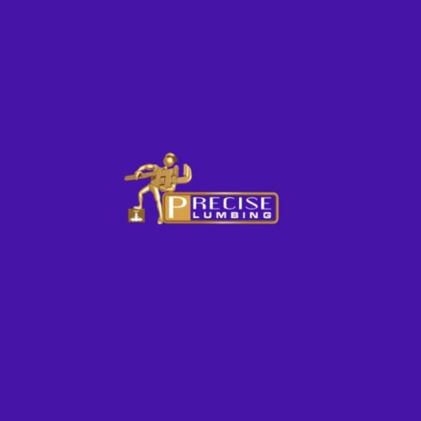 Precise Plumbing & Drain Services