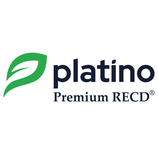 Platino Automotive