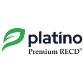 Platino Automotive