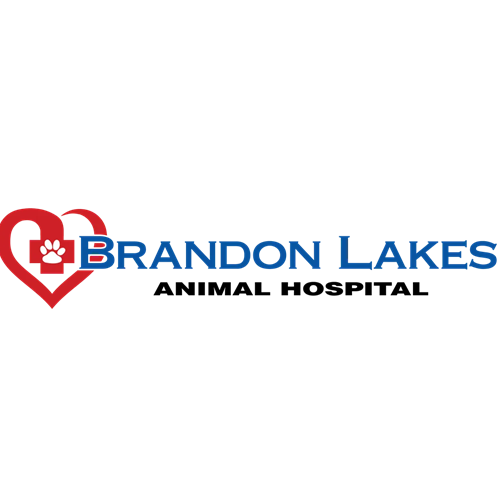 Brandon Lakes Animal Hospital