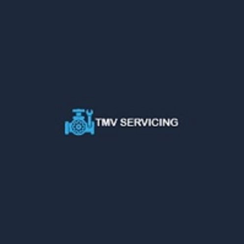 TMV Servicing Ltd