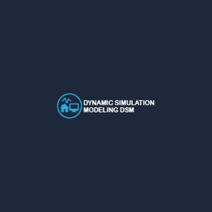 Dynamic Simulation Modeling DSM Ltd