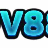 fv88art
