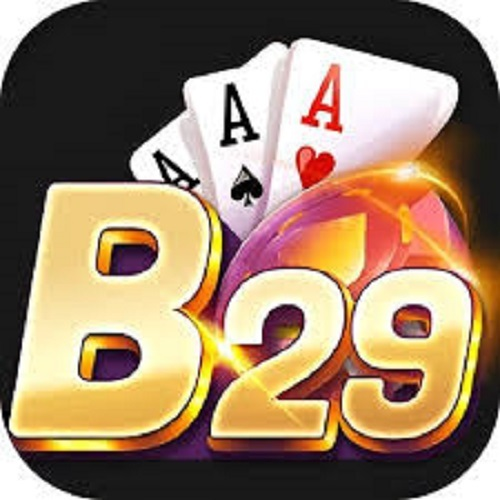 b29
