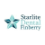 Starlite Dental Finberry