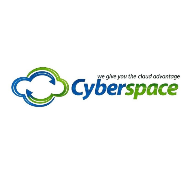 Cyberspace Networking Systems (P) Ltd
