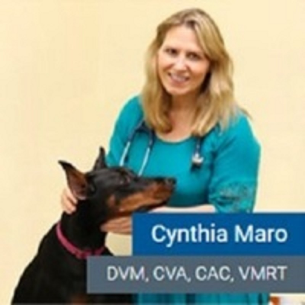Cynthia Maro DVM