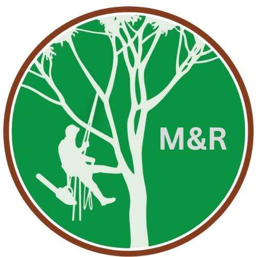 M&R Tree services