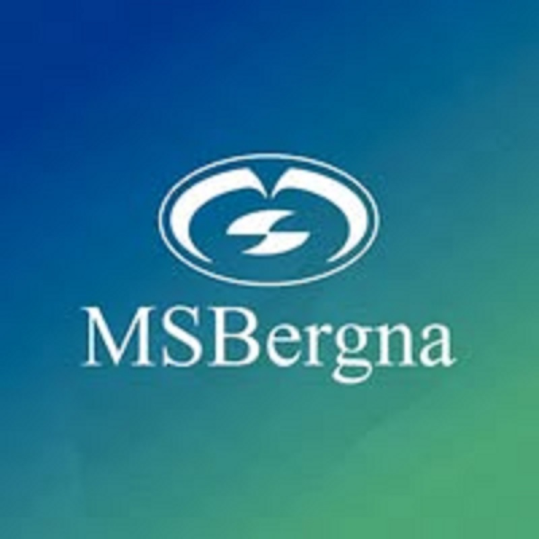 MSBergna