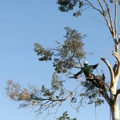 North Bethesda Tree Care Co.