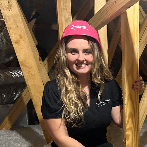 Insulation Removal-extractionpros.net