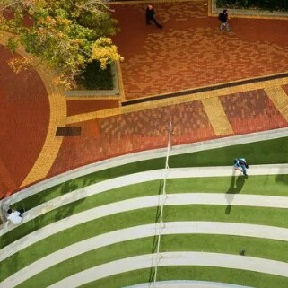 Studio City Ecolite Artificial Grass