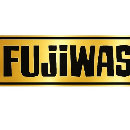 FUJIWASH Mobile Car Detailing Austin