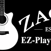 Zager Guitar
