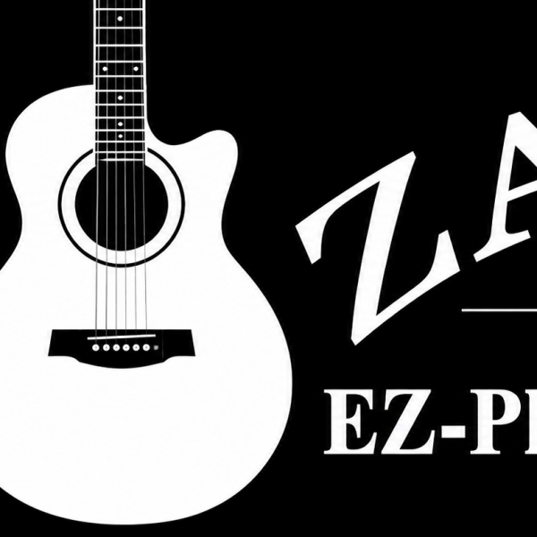Zager Guitar