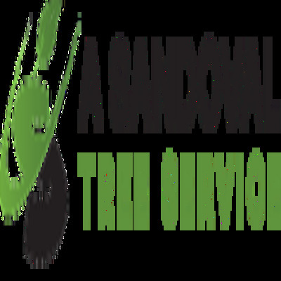 A Sandoval Tree Service