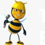 The Bee Removers