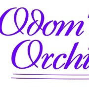 Odom's Orchids Inc