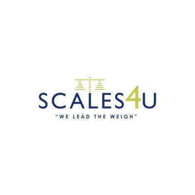 Scale Repair Service