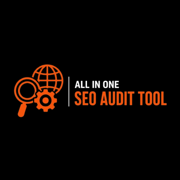 All In One SEO Audit