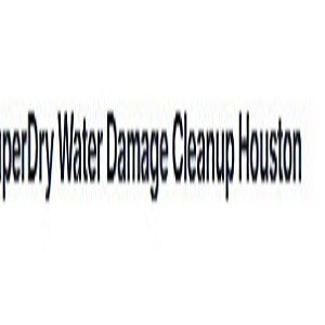 Toilet back flow cleanup Houston TX