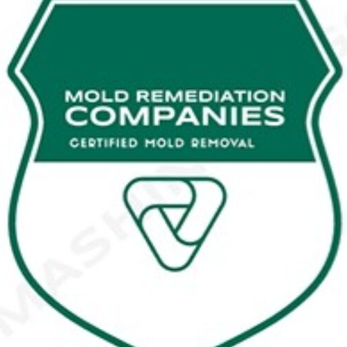 Grapevine Mold Remediation Pros