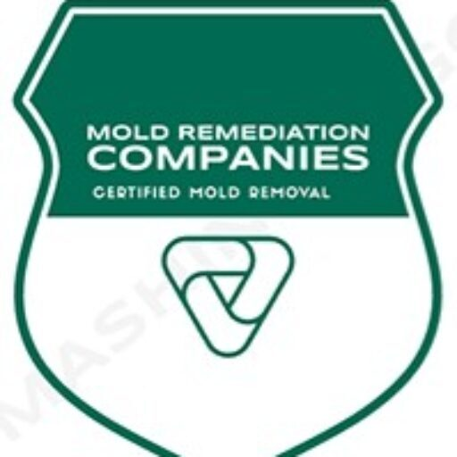 Midlothian Mold Remediation Pros