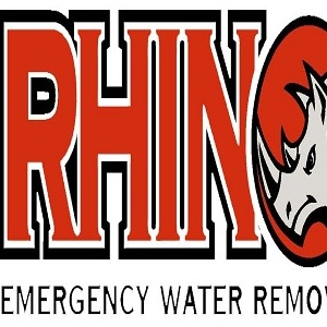 Water cleanup service Houston TX