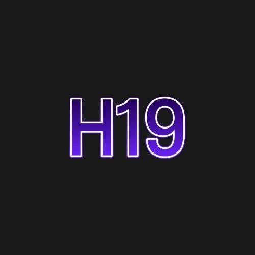 H19