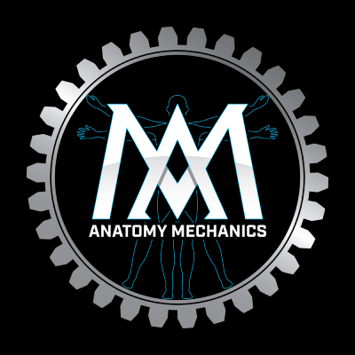 Anatomy Mechanics Therapy