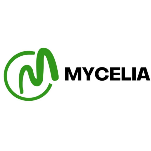 Mycelia Jm