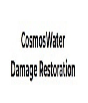 Toilet back flow cleanup San Antonio TX