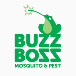 Buzz Boss