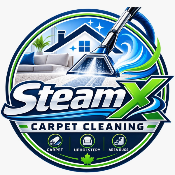 SteamX Carpet Cleaning